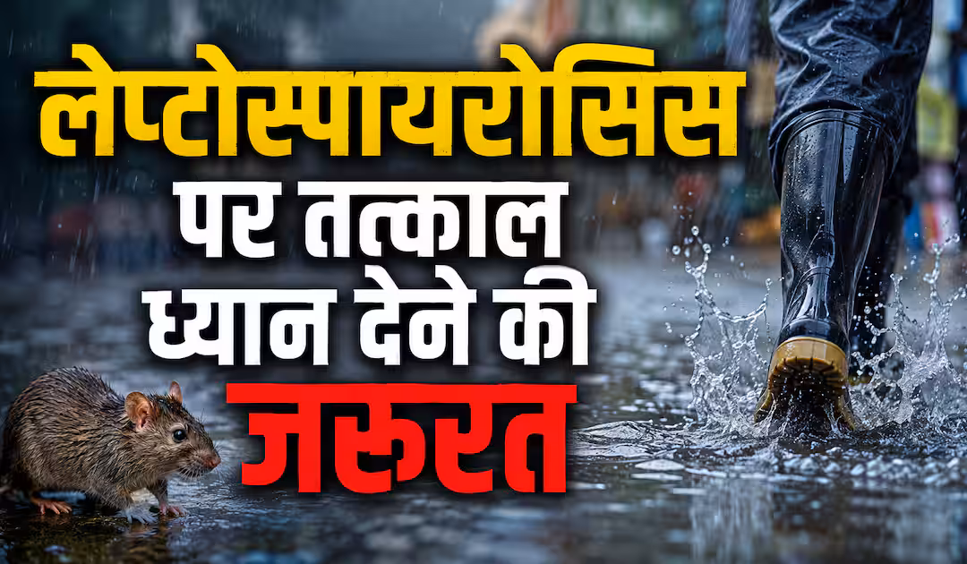 केरल में लेप्टोस्पायरोसिस (रैट फीवर) से 29 जुलाई 2026 तक 1,352 कन्फर्म मामले और 58 मौतें दर्ज। जानें लक्षण, कारण और बचाव के तरीके।