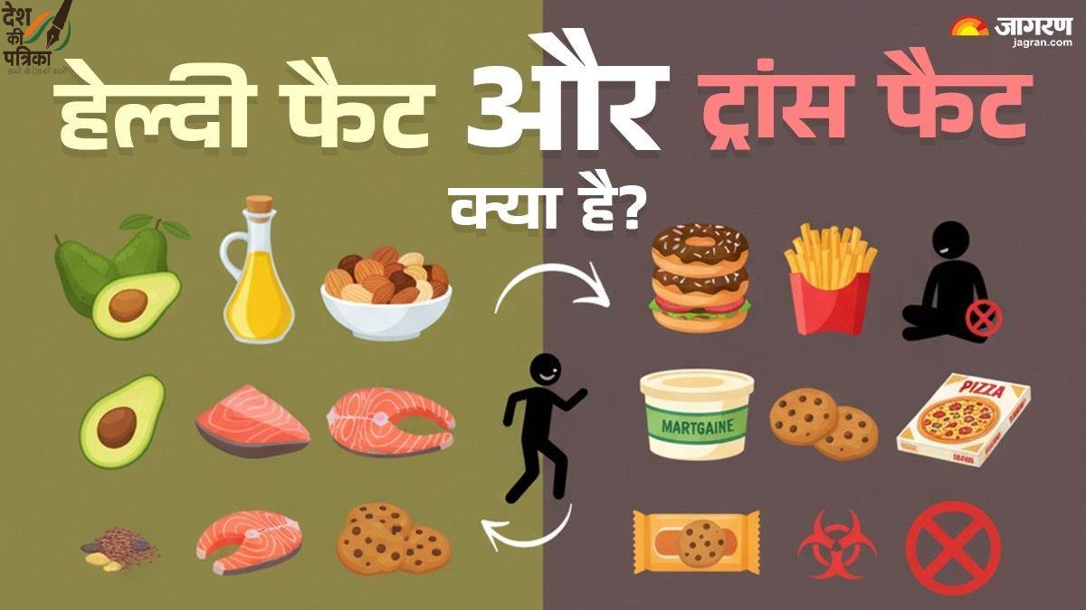 हेल्दी फैट vs ट्रांस फैट: हृदय का दोस्त या दुश्मन? AIIMS डॉक्टरों ने बताया – रोज 20ml से ज्यादा न लें, वरना खतरा!